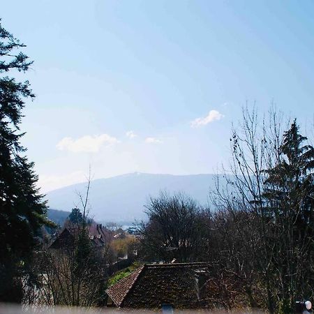 Maison 3 Chambres Au Lac D'Annecy, 30Min La Clusaz Menthon-Saint-Bernard Zewnętrze zdjęcie