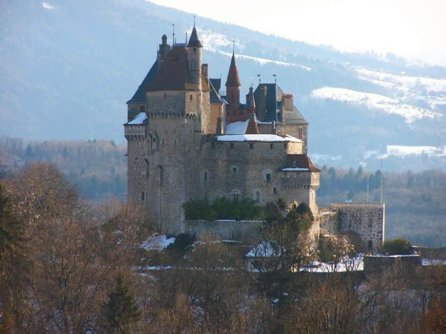 Maison 3 Chambres Au Lac D'Annecy, 30Min La Clusaz Menthon-Saint-Bernard Zewnętrze zdjęcie