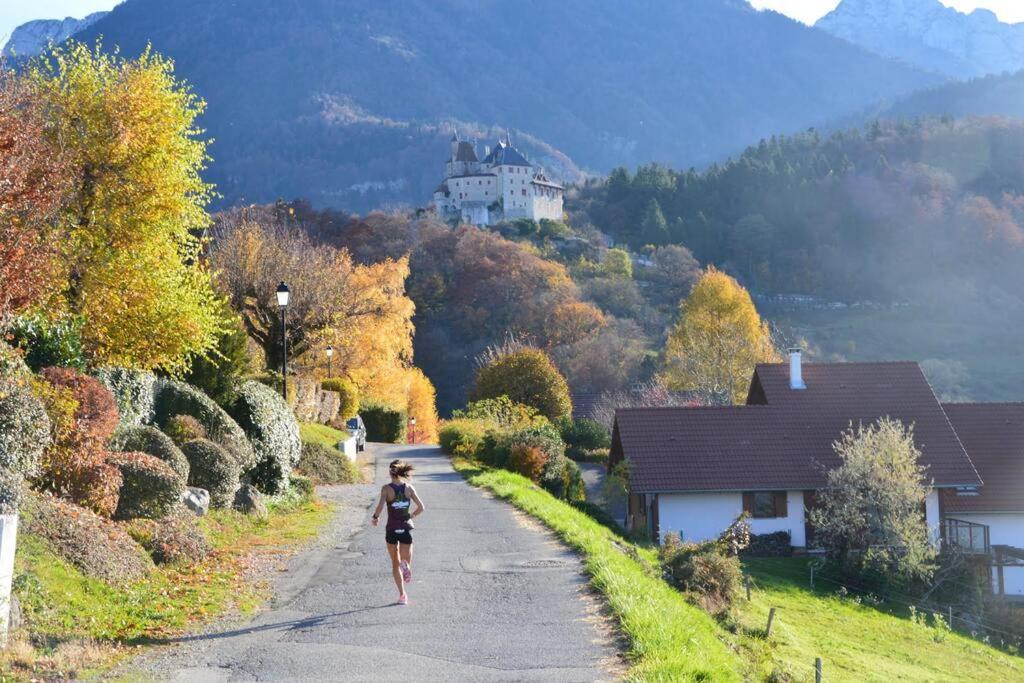 Maison 3 Chambres Au Lac D'Annecy, 30Min La Clusaz Menthon-Saint-Bernard Zewnętrze zdjęcie