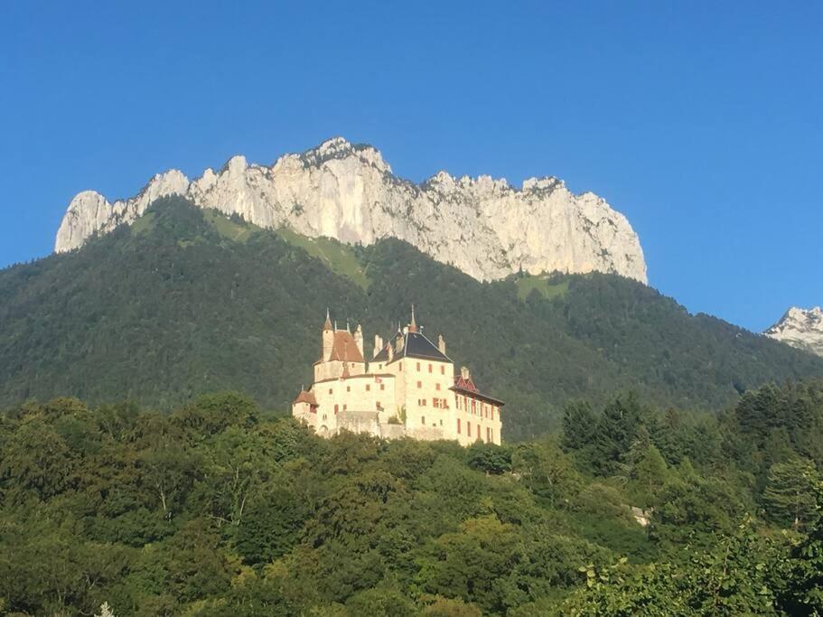 Maison 3 Chambres Au Lac D'Annecy, 30Min La Clusaz Menthon-Saint-Bernard Zewnętrze zdjęcie